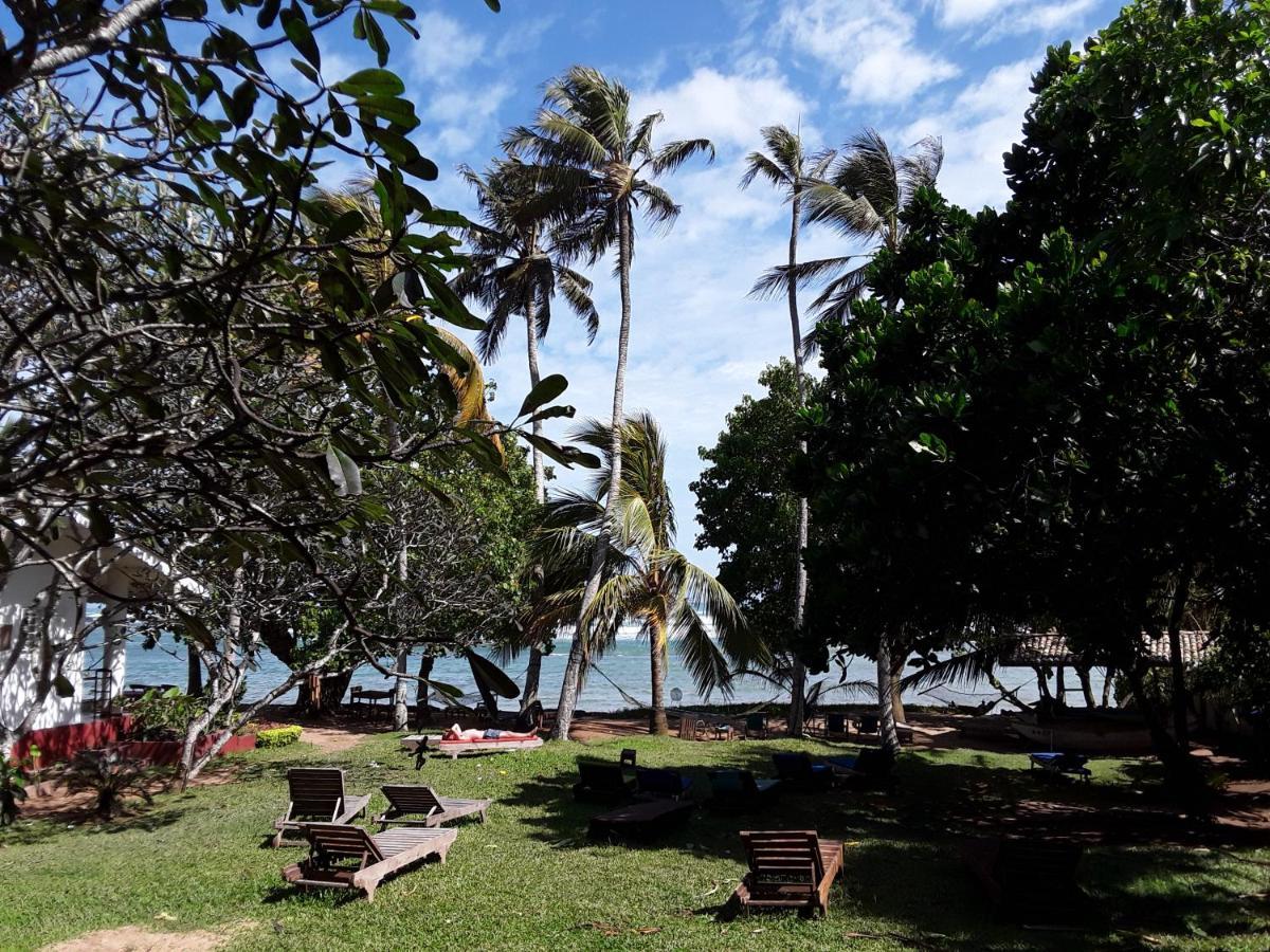 Palm Villa Mirissa Hotel&Spa Exterior photo