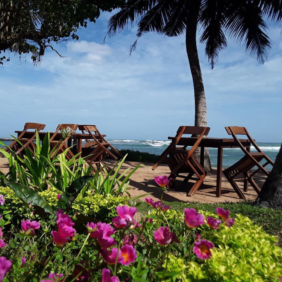 Palm Villa Mirissa Hotel&Spa Exterior photo
